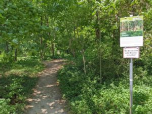 Waldfriedhof am Wiener Zentralfriedhof